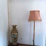 Miclauseni Calatorie la 1900 63