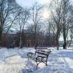 colegiul national roman voda iarna 9310