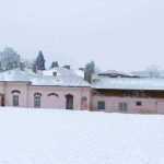 inroman.ro Scoala Primara nr II de Baieti Scoala Vasile Alecsandri 1