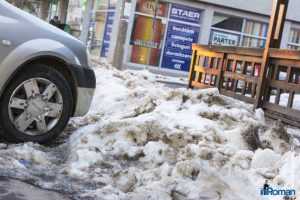 inroman.ro mormane de zapada