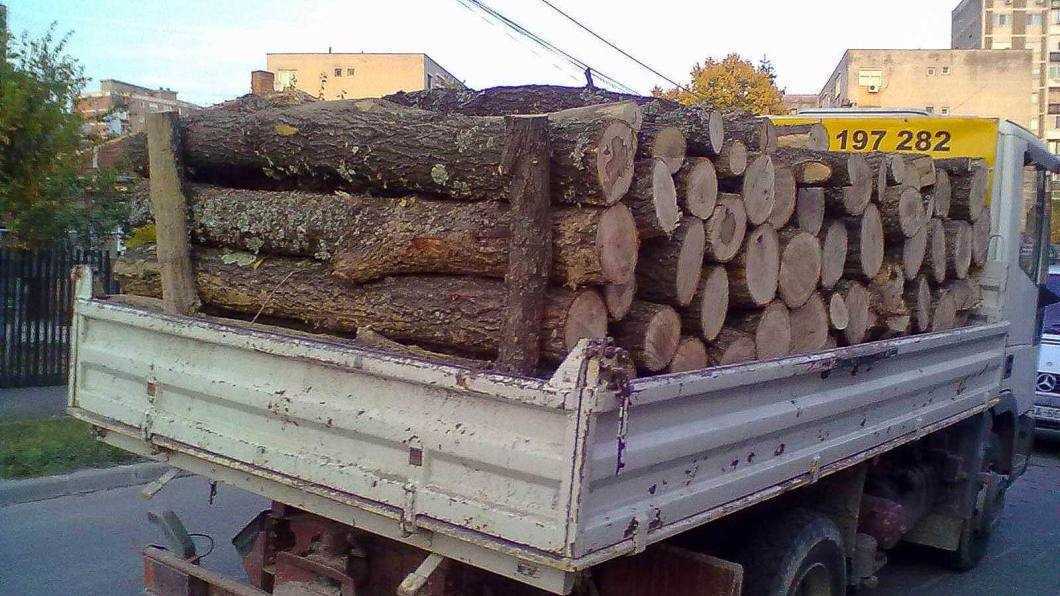 transport lemne de foc