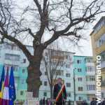 inroman.ro ziua unirii 24 01 2016 lucian micu 1