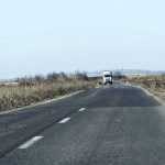 Centura Roman Est carpita 2380