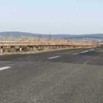 Centura Roman Est carpita 2392