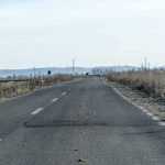 Centura Roman Est carpita 2413