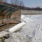 stadion moldova 20170215 105908