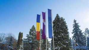 steaguri primaria roman 9302