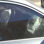 accident gara semafor doborat 5