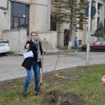plantare copaci primarie 01