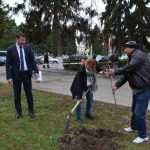 plantare copaci primarie 06