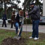 plantare copaci primarie 08