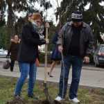 plantare copaci primarie 10