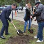 plantare copaci primarie 14