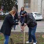 plantare copaci primarie 17