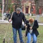 plantare copaci primarie 23