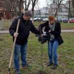 plantare copaci primarie 24