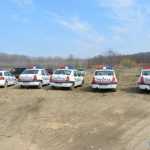 plantare pod Ion Creanga 3308