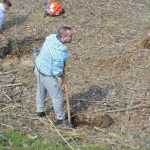 plantare pod Ion Creanga 3316