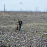 plantare pod Ion Creanga 3319