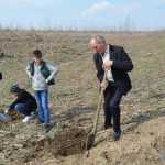 plantare pod Ion Creanga 3325