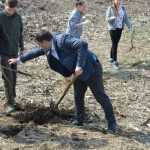 plantare pod Ion Creanga 3332