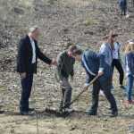 plantare pod Ion Creanga 3336