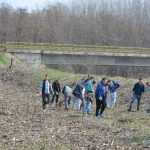 plantare pod Ion Creanga 3339