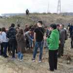 plantare pod Ion Creanga 3341