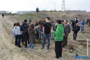 plantare pod Ion Creanga 3341