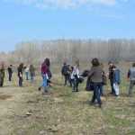 plantare pod Ion Creanga 3348