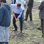 plantare pod Ion Creanga 3351