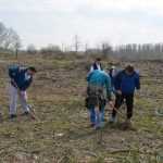 plantare pod Ion Creanga 3354