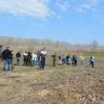 plantare pod Ion Creanga 3355