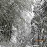 avarii retele electrice 4