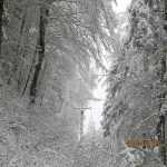 avarii retele electrice 6