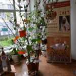 Calea spre Inviere 4508