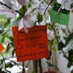 Calea spre Inviere 4510