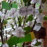 Calea spre Inviere 4511