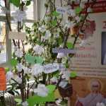 Calea spre Inviere 4513