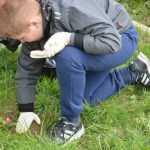 elevi curatenie cimitir 4547