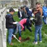 elevi curatenie cimitir 4551