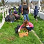 elevi curatenie cimitir 4554