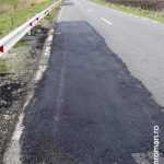 roman est carpita 5331