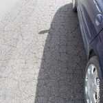 roman est crapaturi 5314