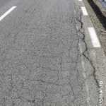 roman est crapaturi 5317