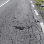 roman est crapaturi 5318