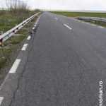 roman est crapaturi 5333