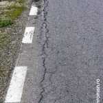 roman est crapaturi 5334