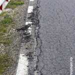 roman est crapaturi 5336