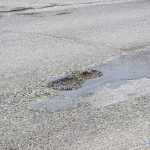 roman vest peticita 5343